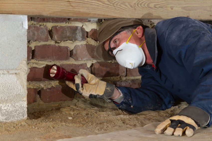 Home inspection of basement and attic insulation